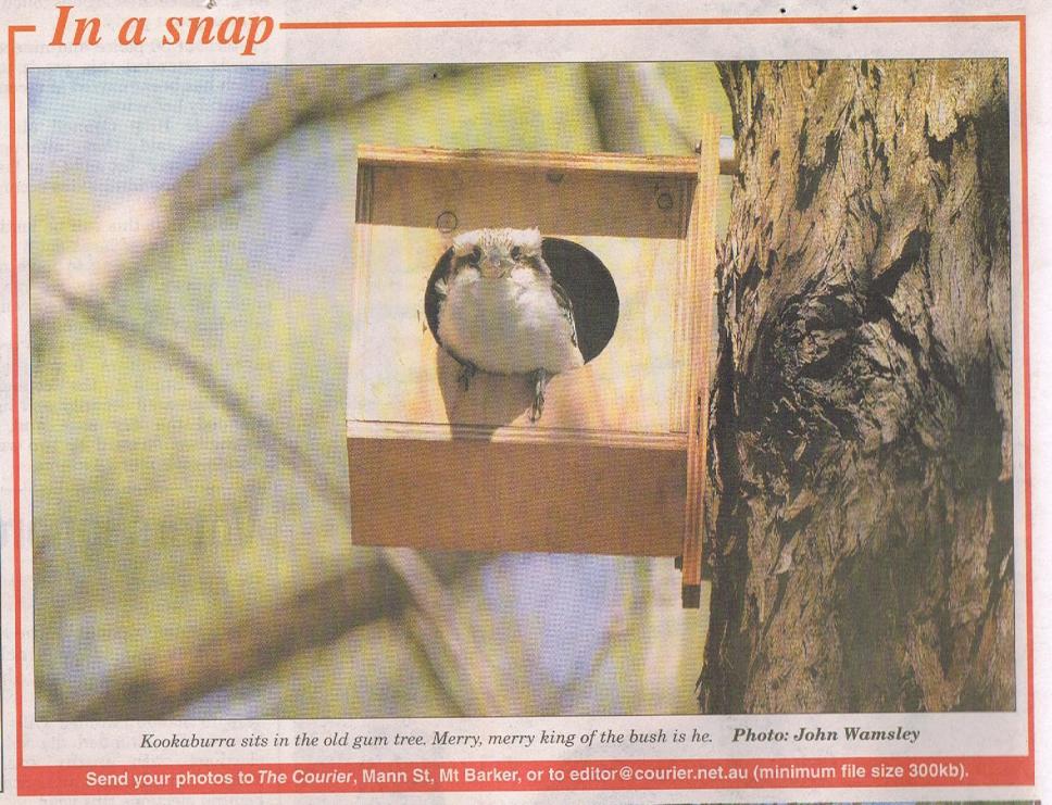 Kooka Courier